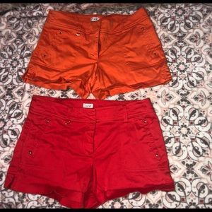 Cache Women’s Size 8 Casual Mini Stretch Shorts